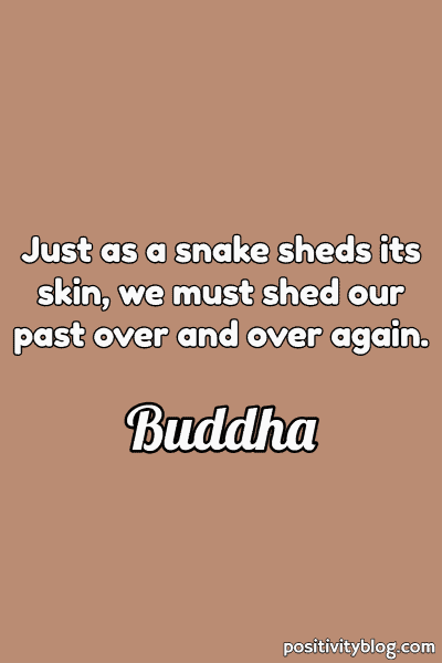 A quote by Buddha.