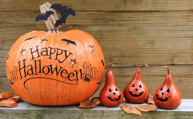 101 Best Happy Halloween Quotes: Funny, Short and Spooky Sayings