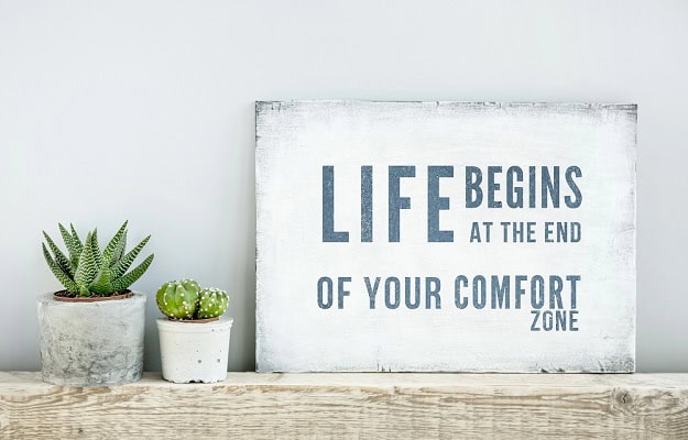 A poster about how life begins at the end of the comfort zone and two cactuses.