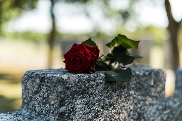 A gravestone with a red rose on top of it.