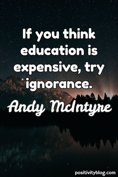 Education Quote by Andy McIntyre