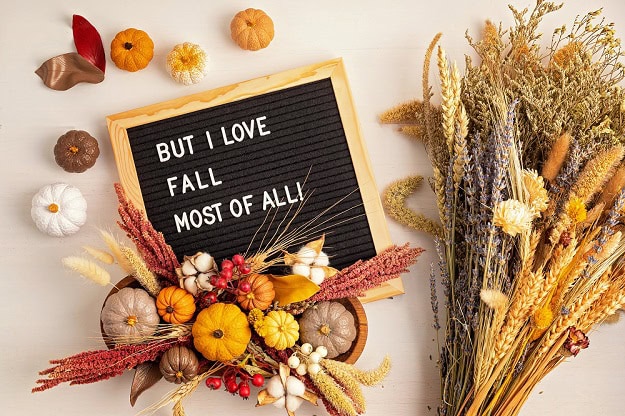 101 Fall Letter Board Quotes for Cute, Cozy and Beautiful Autumn Vibes