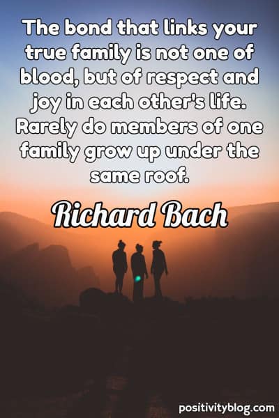 A quote by Richard Bach.