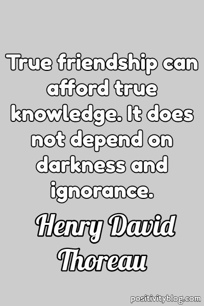 Friendship Quote by Henry David Thoreau