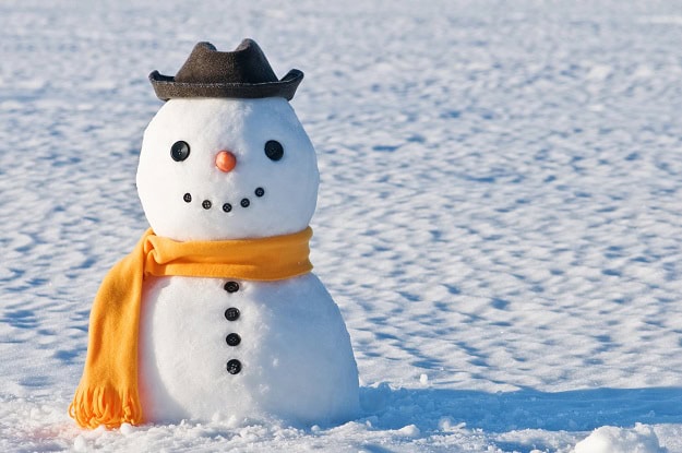 A smiling snowman standing in a field.
