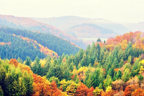 Mountains and valleys covered with trees in beautiful fall colors.