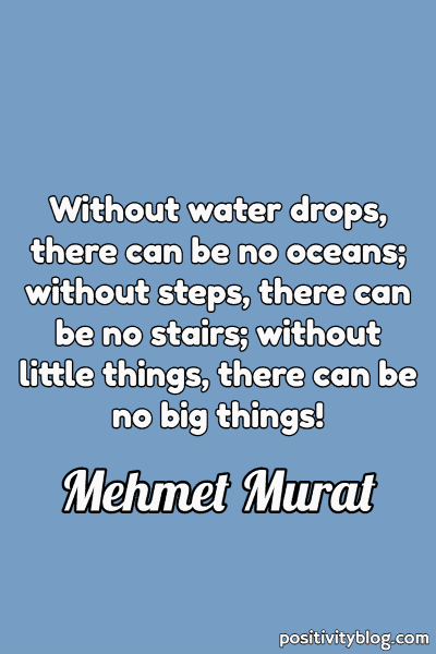 A quote by Mehmet Murat.