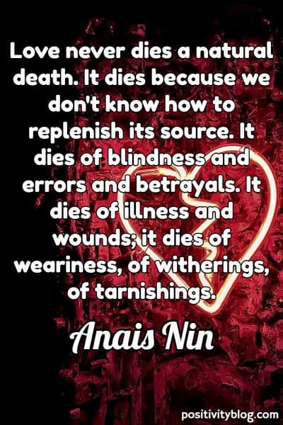 A quote by Anais Nin.