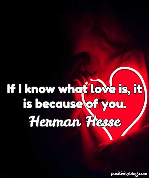 Love Quote by Herman Hesse