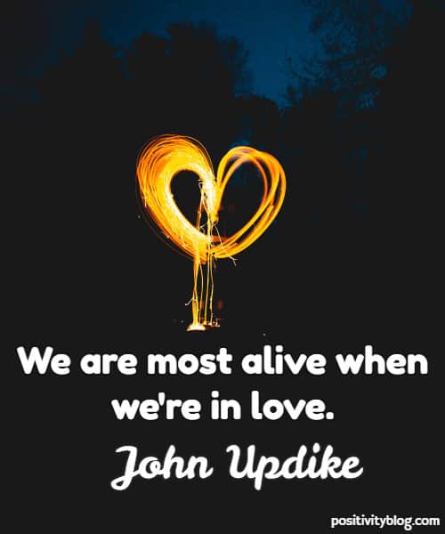 Love Quote by John Updike