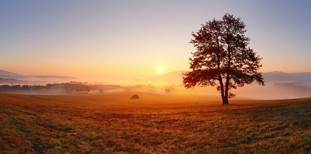A beautiful sunrise over a field and by an tree as a new morning and day begins.