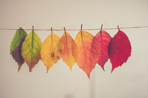 6 Questions to Help You Simplify and Focus on What Truly Matters This Fall