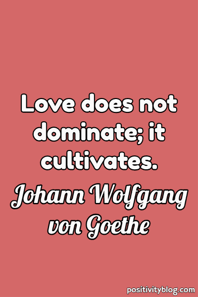 Quote by Johann Wolfgang von Goethe.