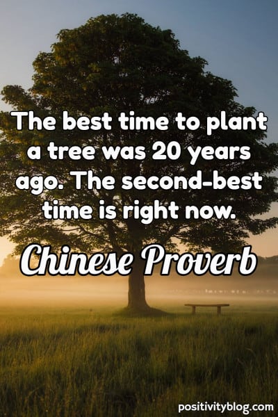 A Chinese Proverb
