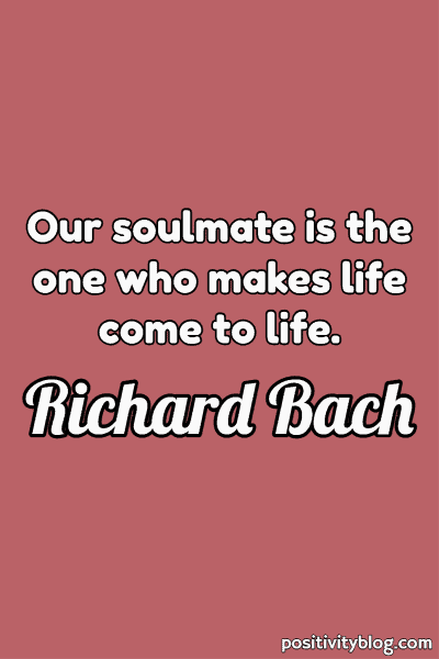 A quote by Richard Bach.