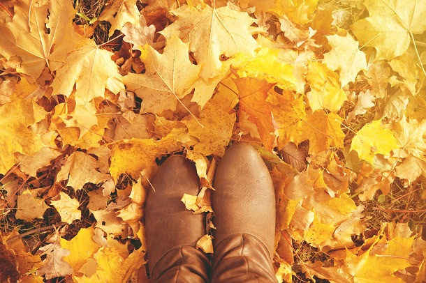 The brown boots of a woman standing in yellow and beautiful fall leaves.