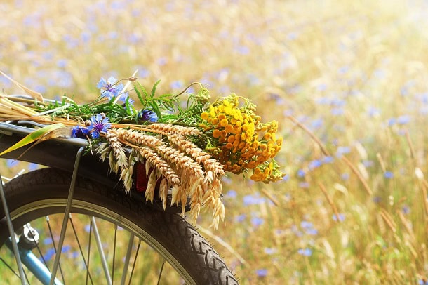 Summer flowers in a bouquet on the rear rack of a bicycle.