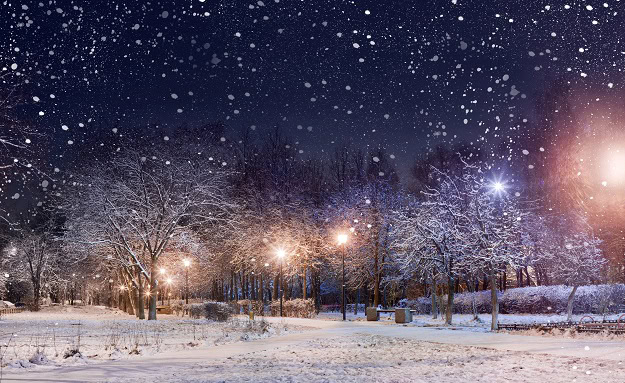 A park at night in winter during snowfall.