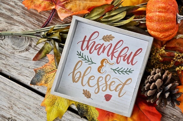 An image with sign that says Thankful & Blessed placed on a pumpkin and autumn plants.