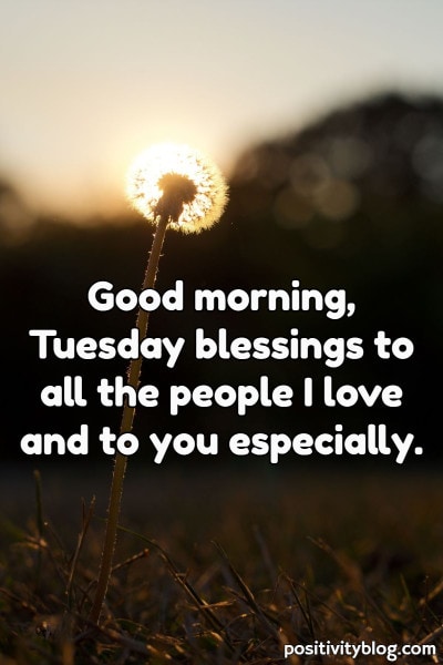 A Tuesday blessing on all the people I love.