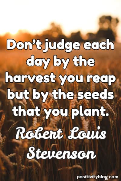 Work Quote by Robert Louis Stevenson